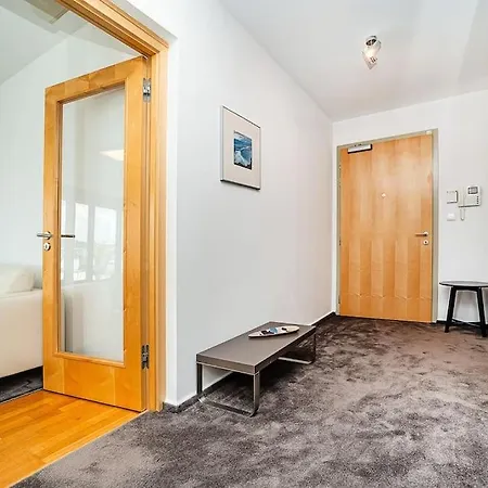 Shiny Rooftop With Free Garage *