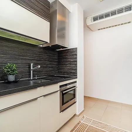 Shiny Rooftop With Free Garage Apartment
