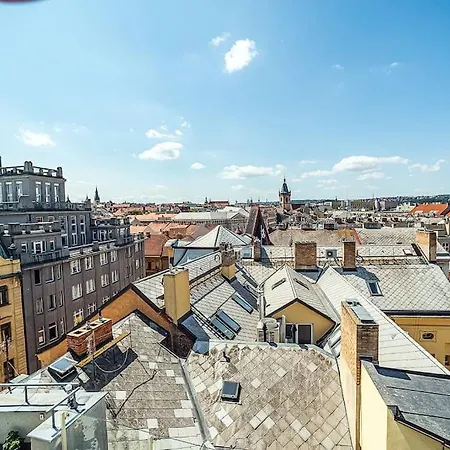 Shiny Rooftop With Free Garage Apartment *