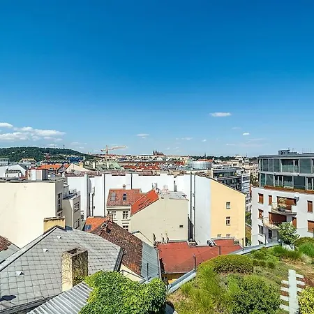 Apartment Shiny Rooftop With Free Garage *