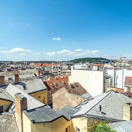 Shiny Rooftop With Free Garage *