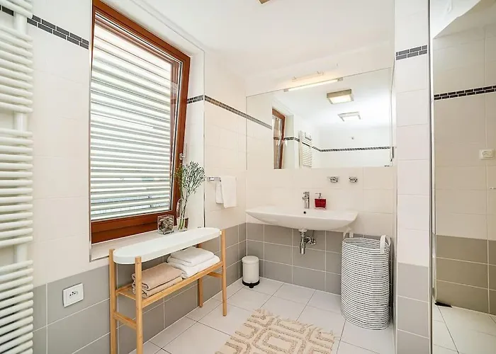 Shiny Rooftop With Free Garage Apartment